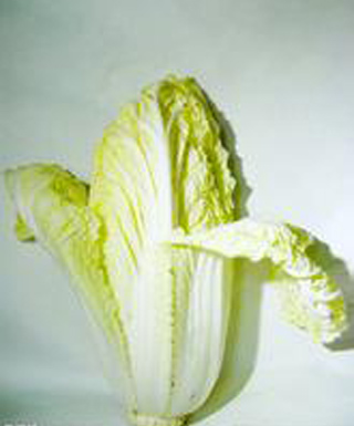 大白菜——蔬菜中的防癌高手
