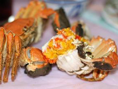 螃蟹不能和什么一起吃 不能与螃蟹一起吃的食物
