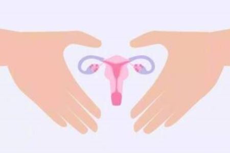 卵巢保养方法