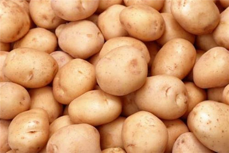 发芽土豆