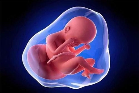 孕期胎动