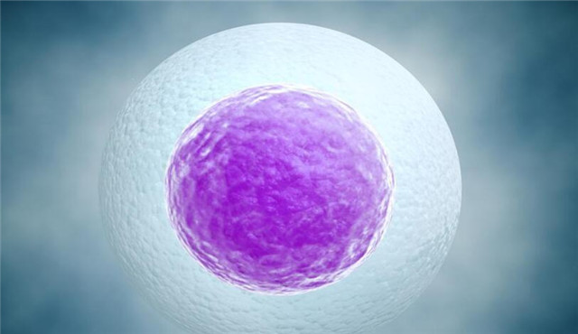 女人调理卵子质量的三个好方法