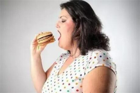 饮食肥胖