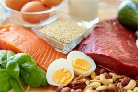 蛋白质食物