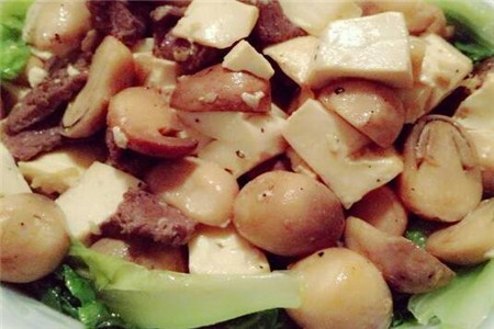 草菇豆腐