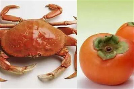 柿子 螃蟹